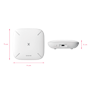 detalle2_thumb.png