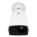 detalle3.png