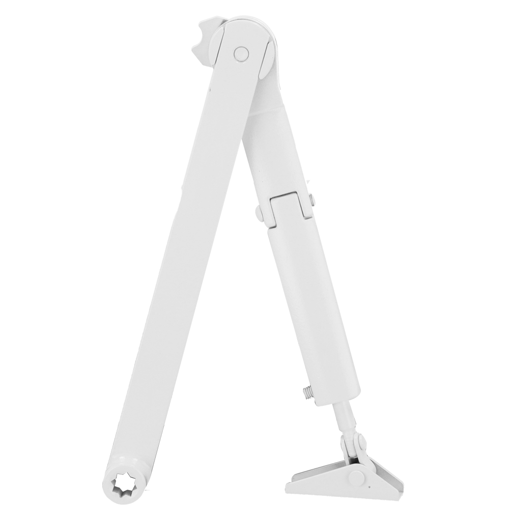detalle1.png