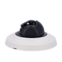 detalle2.png