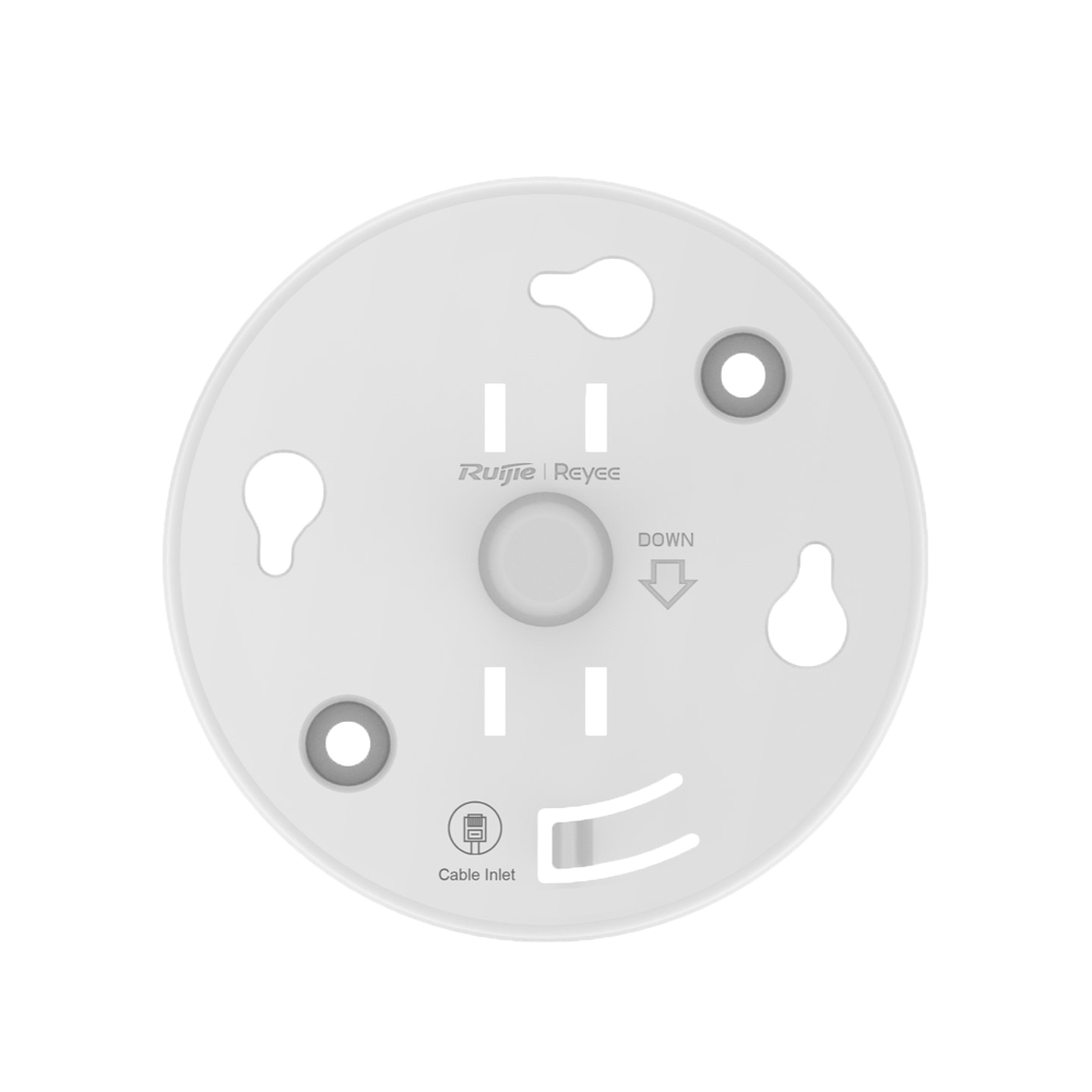 detalle4.png