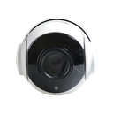 detalle2.png