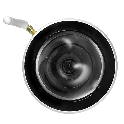 detalle2.png