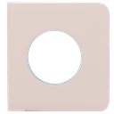 detalle2.png