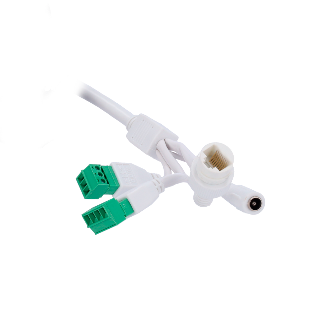 detalle4.png