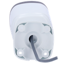 detalle3.png