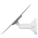 detalle5.png