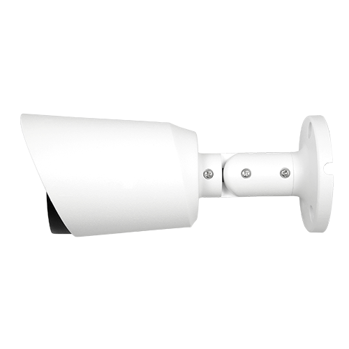 detalle2.png