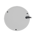 detalle2.png