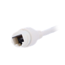 detalle4.png