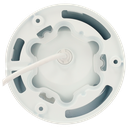 detalle4.png