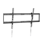 detalle1_thumb.png