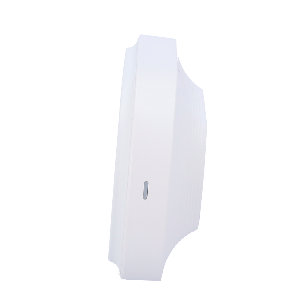 detalle2.png