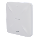 RG-RAP2260G