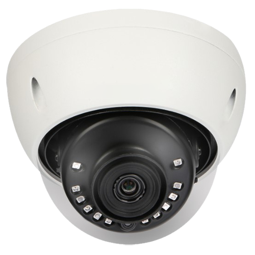 XS-D843W-8P4N1