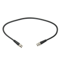 BNC1-100