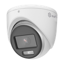 SF-T943C-2P4N1