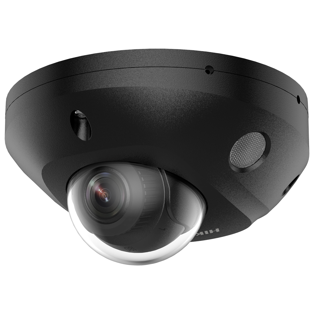 DS-2CD2543G2-LIS2U(2.8mm)/BLACK