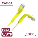 UTP6A-FLEX-1Y