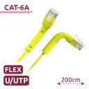 UTP6A-FLEX-2Y