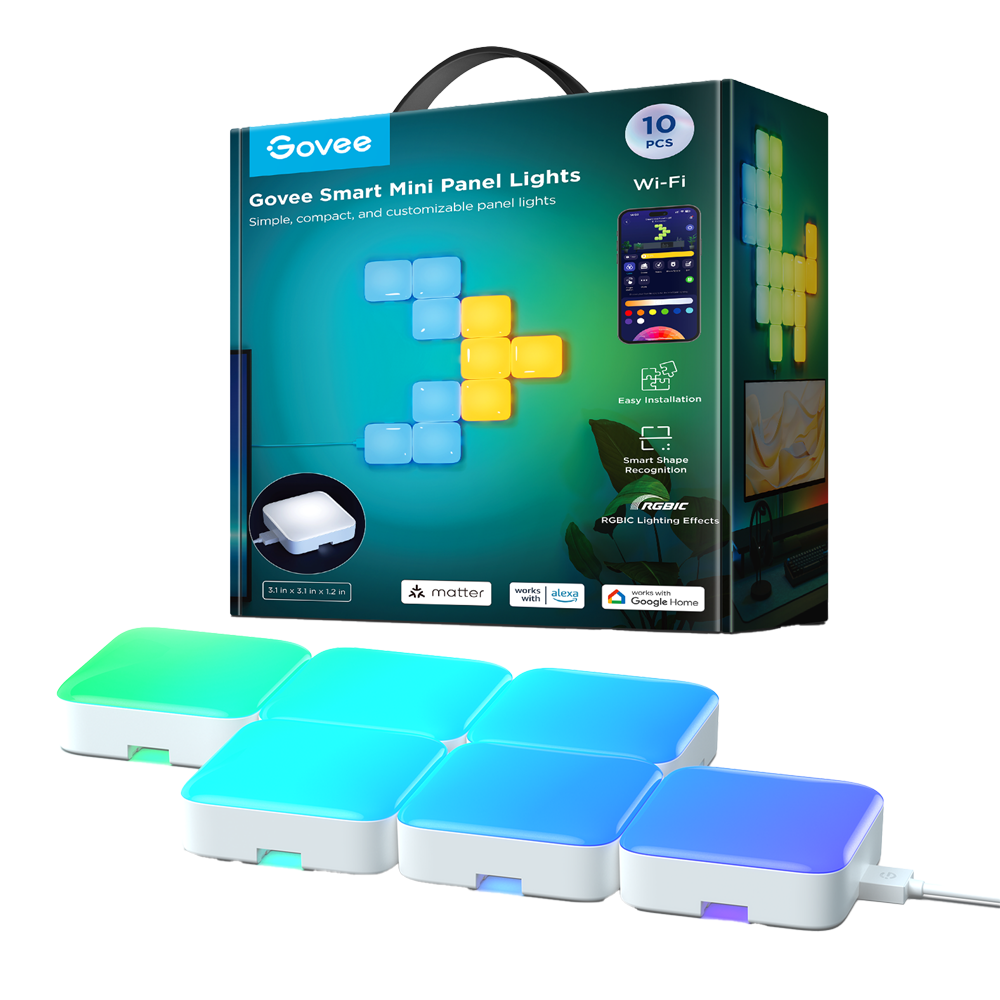 GV-MINI-H8069-PANEL-10P