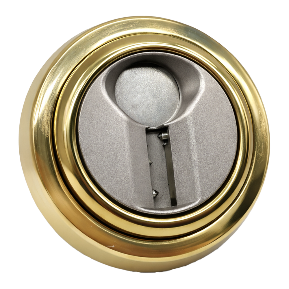 TESA-ESCUTCHEON-MAGNETIC-G