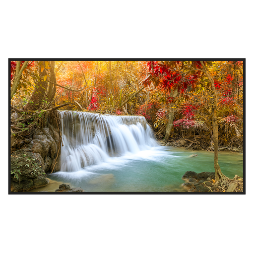 [DS-D6065UN-DP] DS-D6065UN-DP