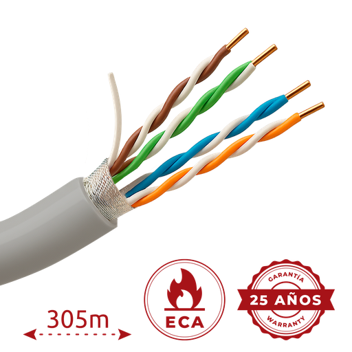 [FTP6-305-BC-Eca] FTP6-305-BC-Eca